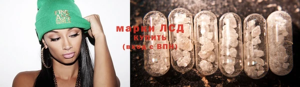 шишки Абаза