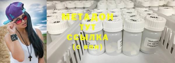 шишки Абаза