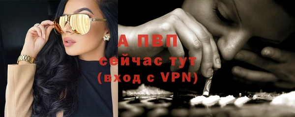 шишки Абаза