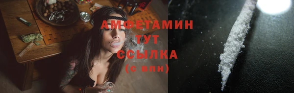 шишки Абаза
