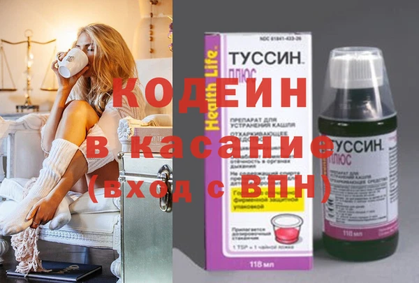шишки Абаза
