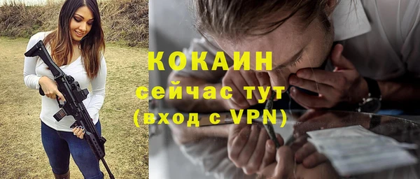 шишки Абаза
