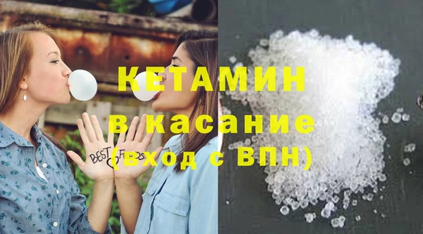 шишки Абаза