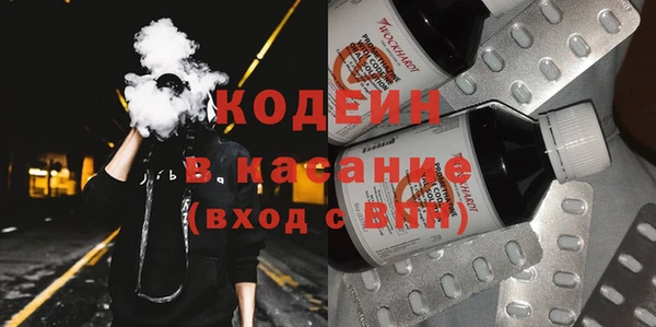 шишки Абаза