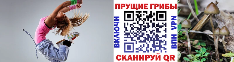 Галлюциногенные грибы Magic Shrooms  где купить наркоту  Стерлитамак 